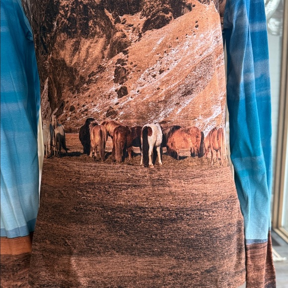 Zara Blue and Brown Scenic Print Long Sleeve Tee - Picture 3 of 4
